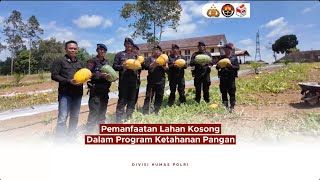 Pemanfaatan Lahan Kosong Dalam Program Ketahanan Pangan [upl. by Kelcie]