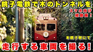 【銚子電鉄】木のトンネルを走る車両を本銚子駅で撮影！ [upl. by Muhcon]