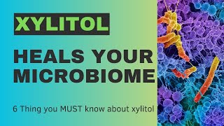 Xylitol Part II How Xylitol heals your Microbiome [upl. by Ayotnom51]