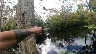 Paradise Road DeLand Florida Post Hurricane Milton Receding Flood Waters [upl. by Ayiak25]