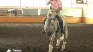 Dressage Training with Colonel Christian Carde Getting Lightness in the Bridle [upl. by Clintock]