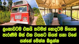 Classic sltb bus from kalutara depot [upl. by Imarej]