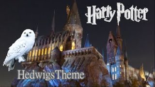 Harry PotterHedwigs ThemePiano【上級アレンジピアノ】 [upl. by Nedrud]