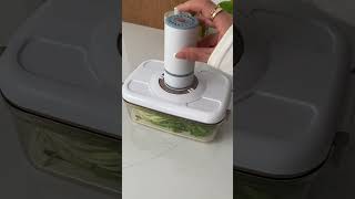 Vacuum Sealer Machine To Save Space [upl. by Brietta675]