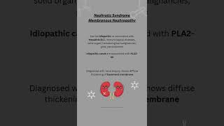 Nephrotic syndrome Membranous Nephropathy [upl. by Jerusalem]