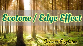 Ecotone  Edge Effect  Major Ecosystem  Biome [upl. by Ynned]