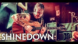 Shinedown  2018 European Tour [upl. by Solis206]