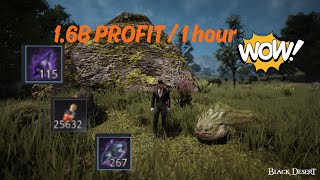 BDO Life 16B Profit  Lizard Blood 2024 [upl. by Salocin886]