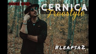 viitorulëacum  Cernica Freestyle Leapsa2 [upl. by Yelad855]