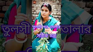 তুলসী পাতা তোলার সঠিক মন্ত্র। harikatha viralreels shortsvideo education youtubeshots [upl. by Enomed653]