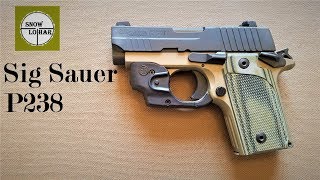 Sig Sauer P238 [upl. by Matti]