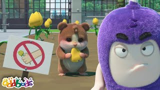 Pesky Pet or Pest  OddBods  Science and Nature Cartoons For Kids Moonbug Kids [upl. by Biddy790]