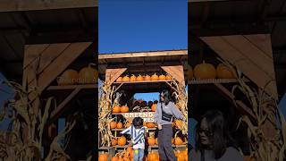 Greendale Acres Fun Farms and Family Adventures canada vancouver vlog trip reels shorts 🍁🍁 [upl. by Proudfoot]