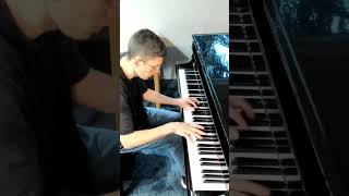 Appassionata great excerpt Beethoven classicalpiano piano appassionata YTshorts pianosonata [upl. by Christal]