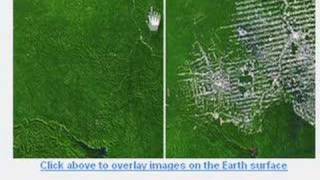 UNEP  Amazon Deforestation in Google Earth [upl. by Nimar]