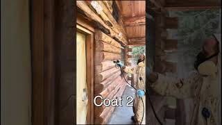 Staining a log house [upl. by Cormier]