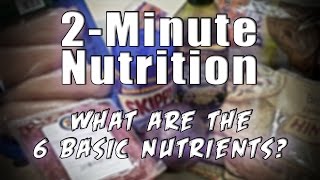 2Minute Nutrition Ep 3  The 6 Basic Nutrients [upl. by Leclair59]