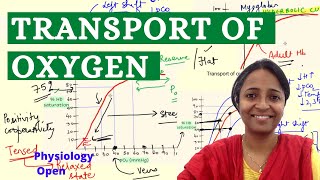 Oxygen transport Oxygen dissociation curve Bohr effect Respiratory syste physiology mbbs 1st year [upl. by Nona]