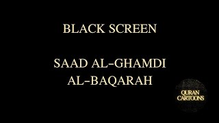 Saad AlGhamdi سعد الغامدي  AlBaqarah البقرة‎black screen nostimulation [upl. by Eilatan]