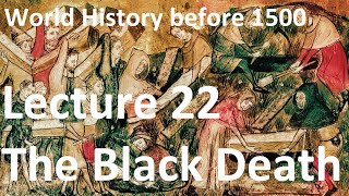 22 The Black Death World History before 1500 [upl. by Prima]