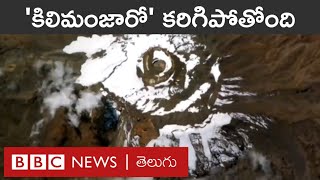 Kilimanjaro ఆఫ్రికాలోనే ఎత్తైన పర్వతం కిలిమంజారో మీద Glacier కరిగిపోతోంది పదేళ్లలో ఏం జరగనుంది [upl. by Oberon]