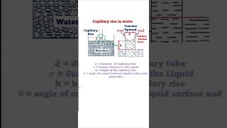 Capillary Rise in Water fluidmechanics physics engineering fluidmechanics [upl. by Ahsikal916]