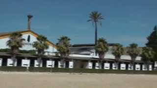 Fundacion Real Escuela Andaluza del Arte Ecuestre Spain [upl. by Eelimaj]