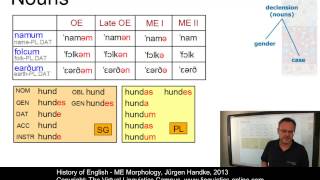 HIS132  ME Morphology [upl. by Larimer651]