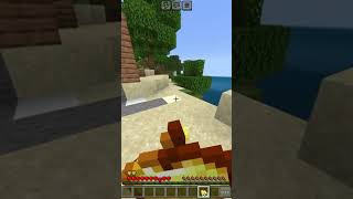 Minecraft But 2 Crack Hacks For You [upl. by Lilian]