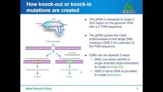 CRISPR solutions how to choose and implement CRISPR in your research [upl. by Chard]