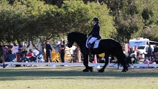 Fabulous Friesian performing at the Heavy Horse Festival of South Australia Wirrina Cove [upl. by Attenweiler921]