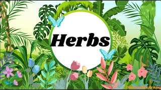 Learn Herbs  Herbs  Facts about Herbs  Perennial herbs  Biennial herbs  Annual herbs  Plants [upl. by Jermyn]