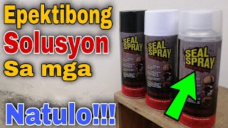 Seal Spray PH  Seal Spray Product Review and Testing  Mabisang Pantapal chitman [upl. by Ezechiel]