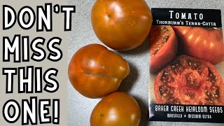 BAKER CREEK Thorburns Terra Cotta Tomato growingharvestingtastingreviewing bakercreek tomato [upl. by Enoryt]