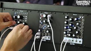 QuBit Bloom Prism amp Chord 2 NAMM 2019 [upl. by Eldred]