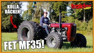 FET MF 35 – Mikaels glassätartraktor [upl. by Meier]