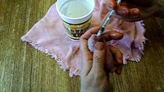 How to syringe or bottle feed a baby bunny rabbit [upl. by Wilkinson]