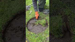 Super Satisfying Edging transformation lawncare edging satisfying [upl. by Bocock201]