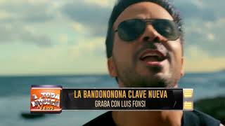 La Bandononona de Max Peraza Graba junto a Luis Fonsi [upl. by Leonelle857]