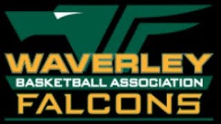 Waverley Basketball BigV VYC Men Live Stream [upl. by Dachia190]