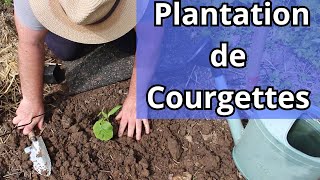 En Extérieur Comment Planter des Courgettes [upl. by Daye]