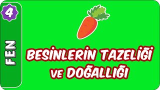 Besinlerin Tazeliği ve Doğallığı  4 Sınıf Fen evokul Kampı [upl. by Ahsineg]