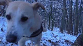 Gear review Dutch army hooped bivi bag  Carinthia Explorer  hike in the snow [upl. by Annek]