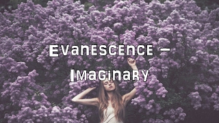 Evanescence  Imaginary Acoustic CoverLyricsKaraoke [upl. by Hodgkinson111]