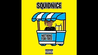 SquidNice  Nothing For Free [upl. by Ydak]