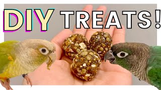 How to Make DIY Nutriberries  DIY Bird Treats [upl. by Slavin318]