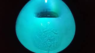 bright blue LED toilet flush [upl. by Cornall]