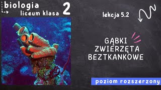 Biologia klasa 2 Lekcja 52  Gąbki  zwierzęta beztkankowe [upl. by Baras]