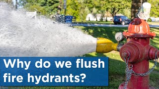 Why do we flush fire hydrants [upl. by Ahsienahs4]