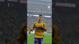 😮‍💨🐯 Vaya noche amarilla y azul en Houston… ¡Y vamos por más [upl. by Eesak]